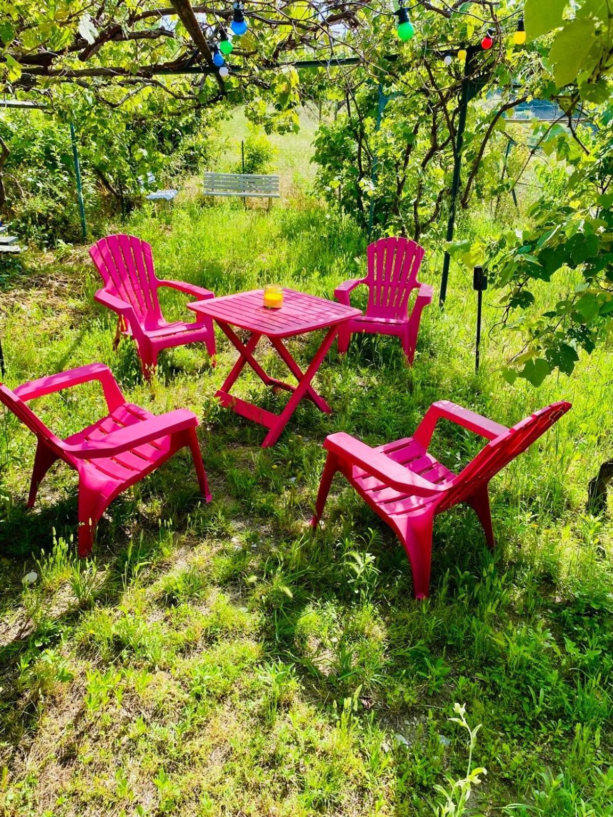 니스 Echapee Belle - Vinayard View - Jacuzzi Bbq - Parking 아파트 외부 사진